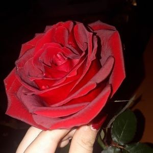 Meet your Posher, Harry